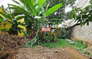 Imagem 6: Terreno à venda, Nova Gerty - São Caetano do Sul/SP