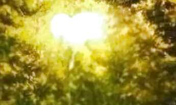 Imagem 2: CASA EM CONDOMÍNIO - ALPHAVILLE - SP