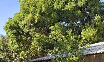 Imagem 6: Vendo chácara EPPN