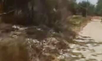 Imagem 2: Terra documentada