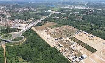 Imagem: Lotes às margens da BR 116 em frente a