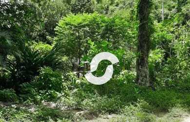 Imagem 16: Terreno à venda, 9488 m² por R$ 650.000,00 - Mata Paca - Niterói/RJ