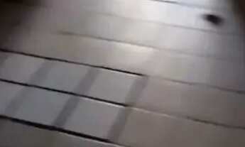 Imagem 3: Alugo Casa no canidezinho