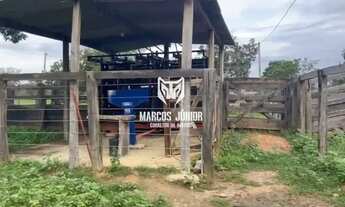 Imagem 5: FAZENDA NA REGIÃO DE SÃO FRANCISCO DE 1000 HECTARES PARA PECUARIA NORTE DE MINAS