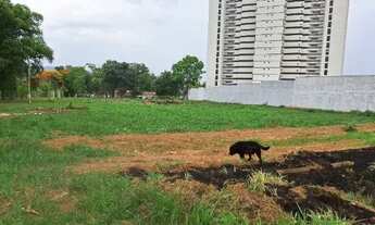 Imagem 7: Aluguel de terreno com cerca de 4.000m2 em Rifaina - Oportunidade para Empreender