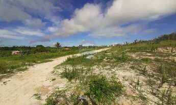 Imagem: Lotes à Venda no Mutirão Aramari/BA