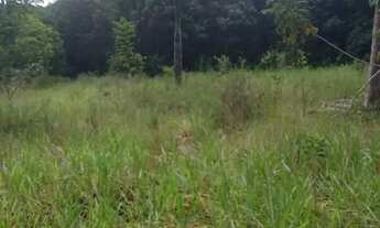 Imagem 5: Terreno para Venda em Entre Rios, Mutuim