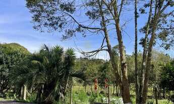 Imagem 5: Chácara à venda, TABATINGA, TIJUCAS DO SUL - PR