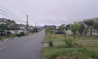Imagem 7: Terreno Residencial em Ingleses