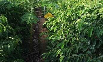 Imagem 3: Venda-se está chácara de 5.000 mil m² no Município de Mimoso do Sul/ES