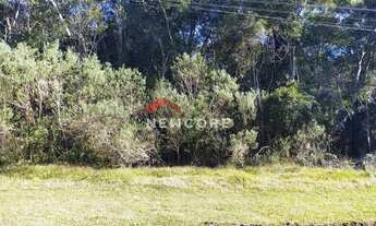 Imagem: Lote em Avenida Ximangos - Colinas - São