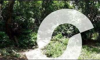 Imagem 4: Terreno à venda, 9488 m² por R$ 650.000,00 - Mata Paca - Niterói/RJ