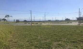 Imagem 3: Área Comercial Bairro da Floresta - Aluga