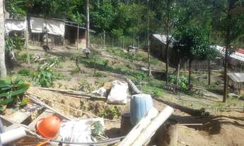 Imagem 5: Sítio Ramal do Urubuí - Presidente Figueiredo AM