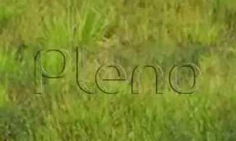 Imagem 4: Terreno à venda em Indaiatuba, Parque Barnabé, com 159 m²