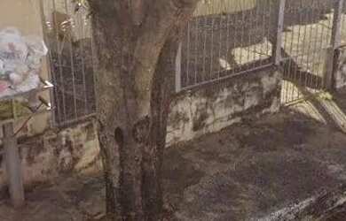 Imagem: 2 Casa nova granada 22x33