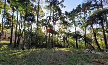 Imagem 5: Casa em R Quatro - Água Santa - Campos do Jordão/SP