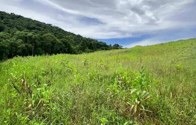 Imagem 7: Lotes amplos com condições especiais de pré-lançamento