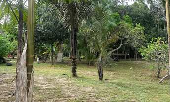 Imagem 5: Vendo sítio Chácara com venda por R$300.000