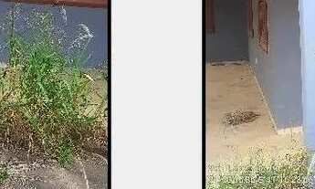 Imagem: Casa de leilão em GOITACAZES / CAMPOS DOS