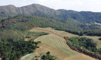 Imagem 4: Área rural Campo Largo 40,4 hectares, Bateias, 30 min Curitiba,1.700m do asfalto
