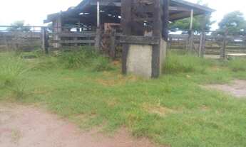 Imagem 4: 410 alqueires Fazenda em Tailandia por 100 mil o alqueire toda pronta e documentada