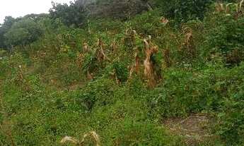 Imagem 7: Vende-se lote top em Milho Verde