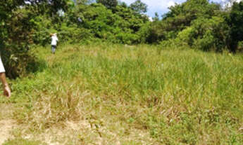 Imagem 6: Sítio em Abrantes