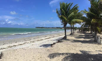 Imagem 7: Terreno Praia Enseada dos Golfinhos - Itamaracá