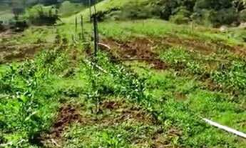 Imagem 6: GM-10- São João do Paraiso- Cambuci-RJ- R$1.800,00,00