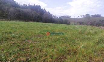 Imagem 2: Chácara 5 Alqueires em Cantagalo-Pr