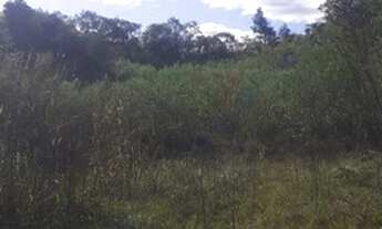 Imagem 5: Sítio com casa, piscina e açude a 500m da BR392