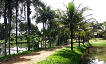 Imagem: Linda chácara de 46,410 mil M² dentro