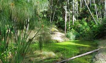 Imagem 5: Sítio 3 Quartos Brusque - SC - Limeira Alta