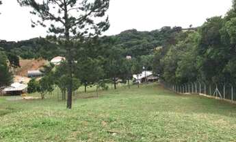 Imagem 4: Chácara a venda em Araucaria Roça velha