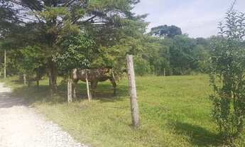 Imagem 3: Chacara Com 22.000 m/2 tanque de peixe