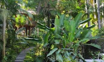 Imagem 7: Sítio bairro Progresso