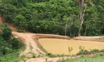 Imagem 3: Sítio para venda com 580800 m2 Municipio de Corumbá Goiás