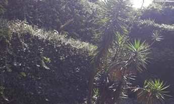 Imagem 5: Embu Condomínio do Bosque, casa com 4 dormitórios sendo 1 suíte,3 salas,útil de 400m²