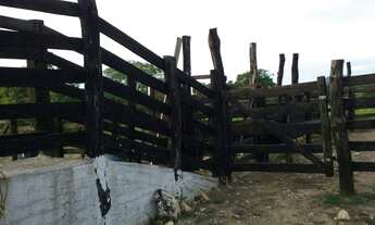 Imagem 5: Fazenda 45 alqueires em Cavalcante Goiás