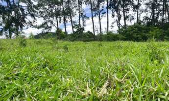 Imagem 3: M17- lotes com escritura