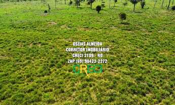 Imagem 7: 80 Alqueires dupla aptidão Machadinho-RO