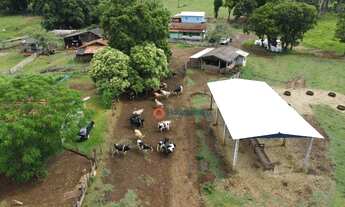 Imagem 4: Chácara à venda, 8 Alqueires por R$ 1.900.000,00 - Centro - Turvo/PR