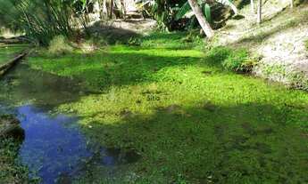 Imagem 6: Sítio 3 Quartos Brusque - SC - Limeira Alta