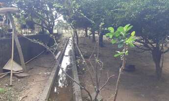Imagem 5: Chácara em Aragoiania Goiás 10.280,00 metros