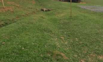 Imagem 2: Chácara a venda em Araucaria Roça velha