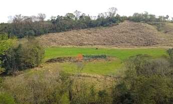 Imagem 4: Chácara 5 Alqueires em Cantagalo-Pr