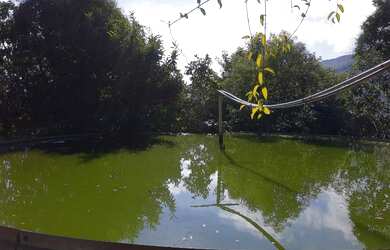 Imagem 3: Fazenda/Sítio/Chácara para venda tem 250 metros quadrados com 5 quartos