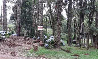 Imagem 4: CH07 Fazenda/Sítio/Chácara para venda tem 2.000 metros quadrados em Zona Rural - Três Coro