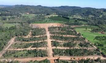 Imagem 3: Lote/Terreno para venda com 275 metros quadrados em Faxinal - Montenegro - RS